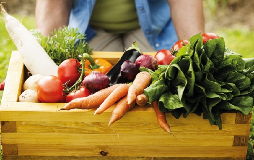 2_comida-organica-no-se-trata-simplemente-de-una-moda-es-un-modo-de-vivir.jpg